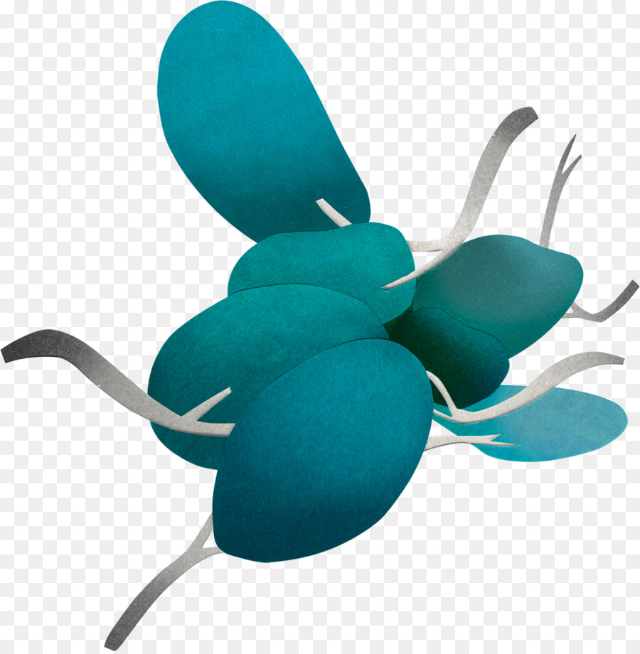 Les Insectes，Turquoise PNG