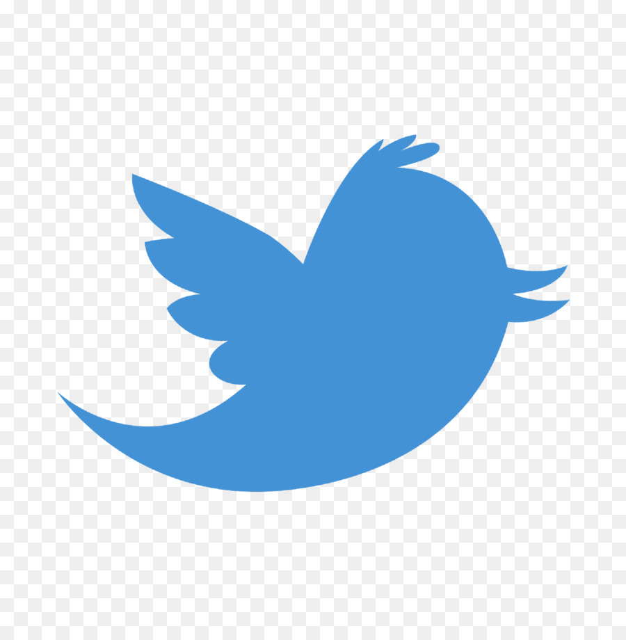 Logo Twitter，Oiseau PNG