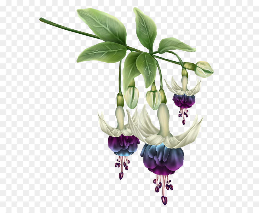 Les Fleurs Coupées，Fleur PNG