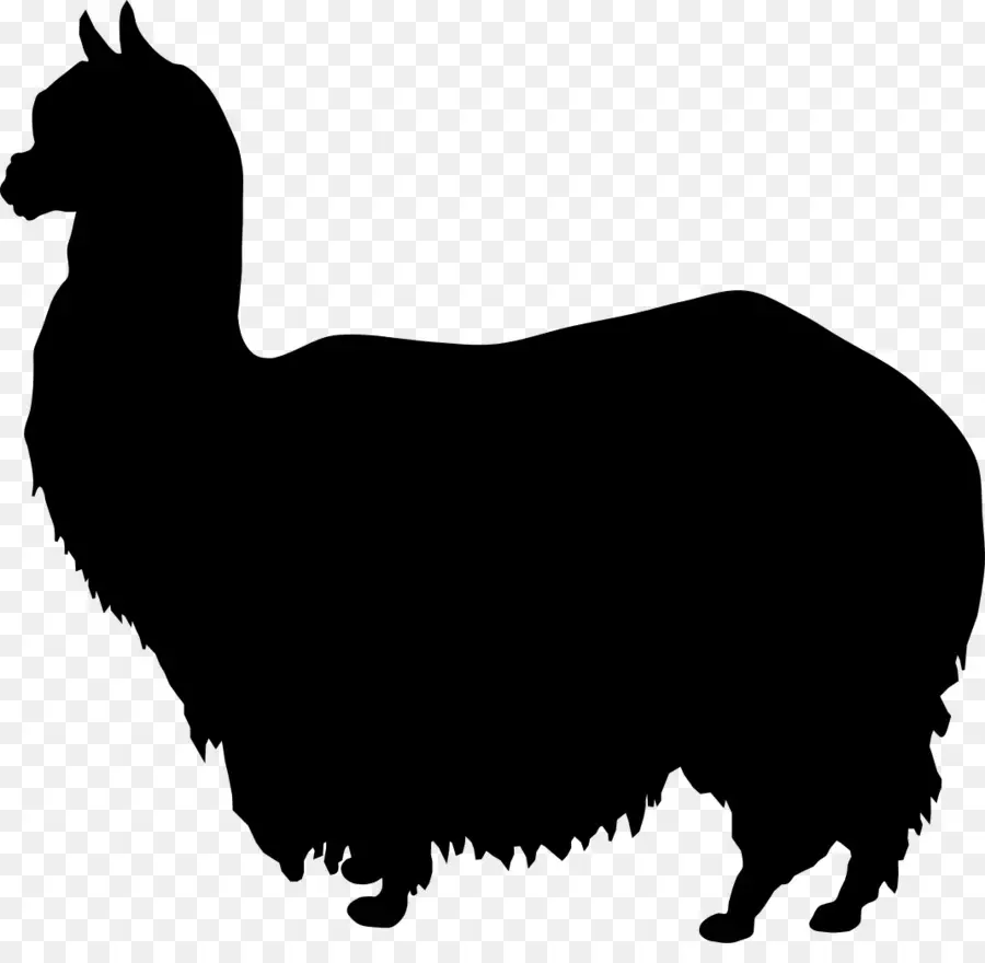 Silhouette De Lama，Animal PNG