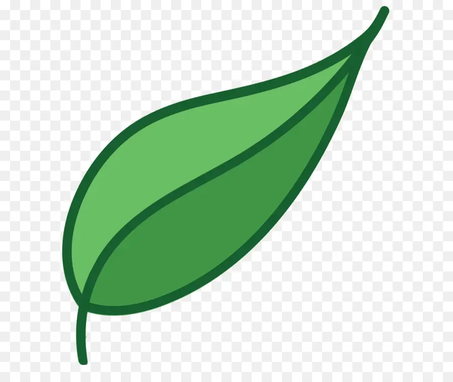 Feuille Verte，Feuille PNG