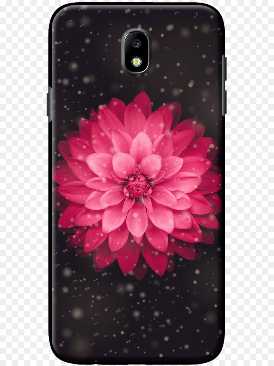 Fleur Rose，Floral PNG