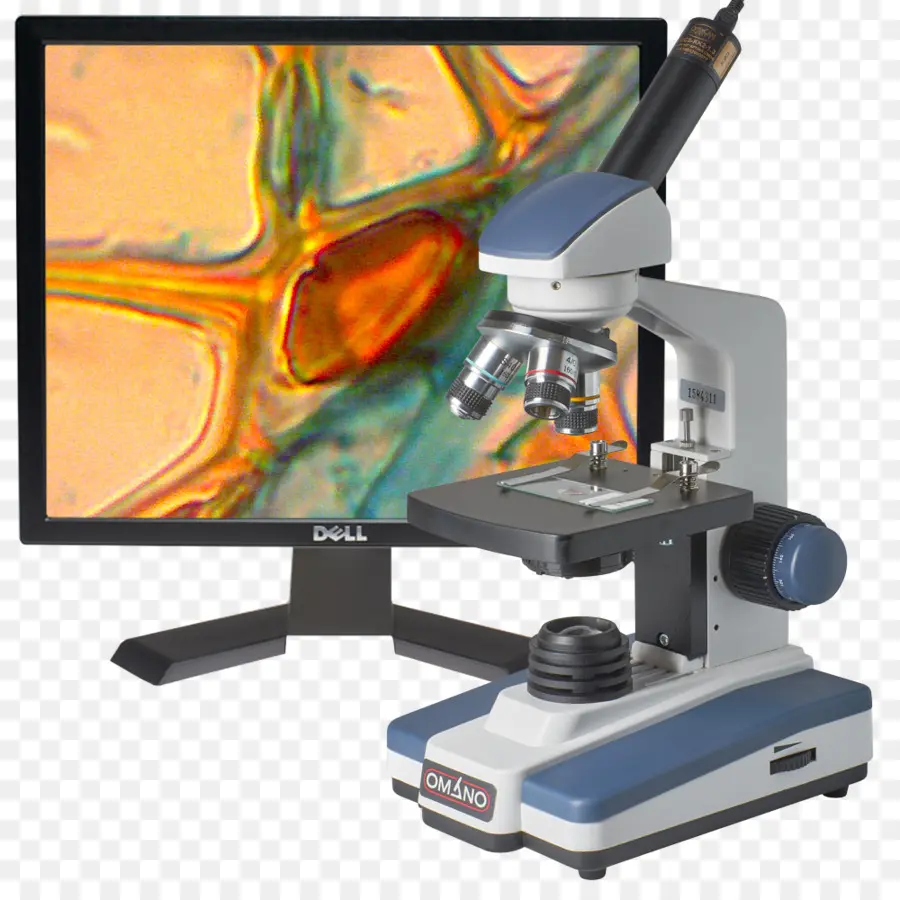 Microscope，Moniteur PNG