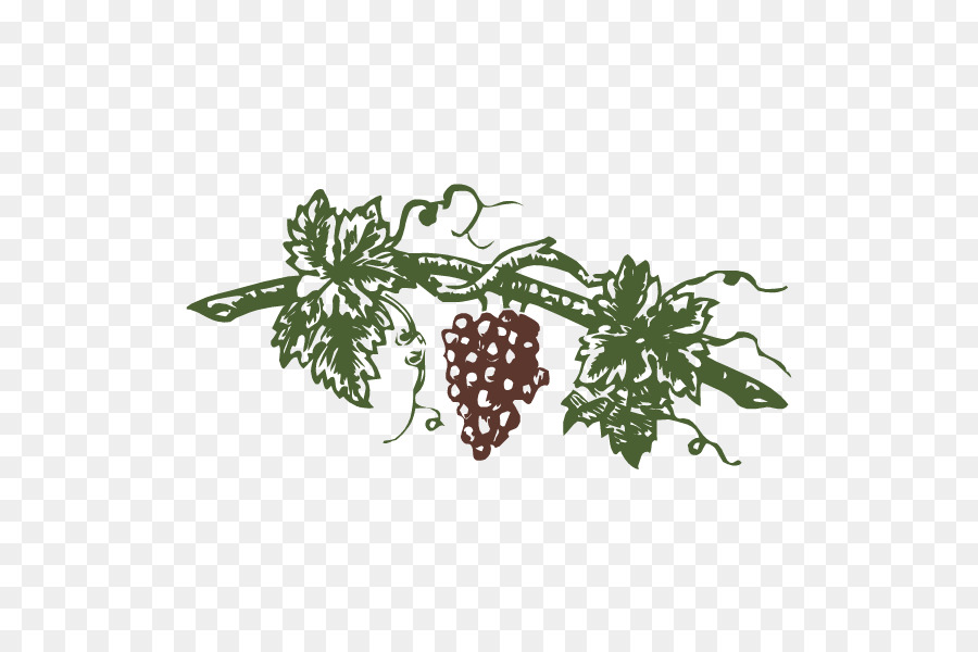 Vigne，Raisins PNG