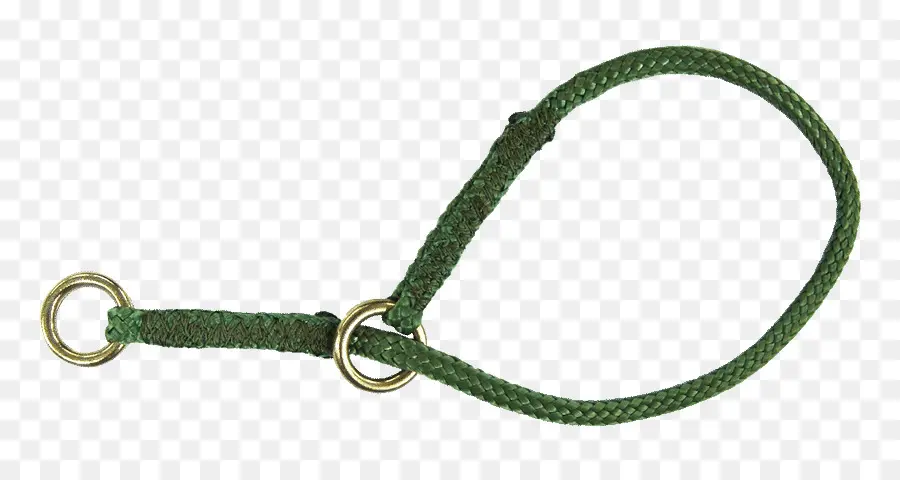 Collier De Chien，Laisse PNG