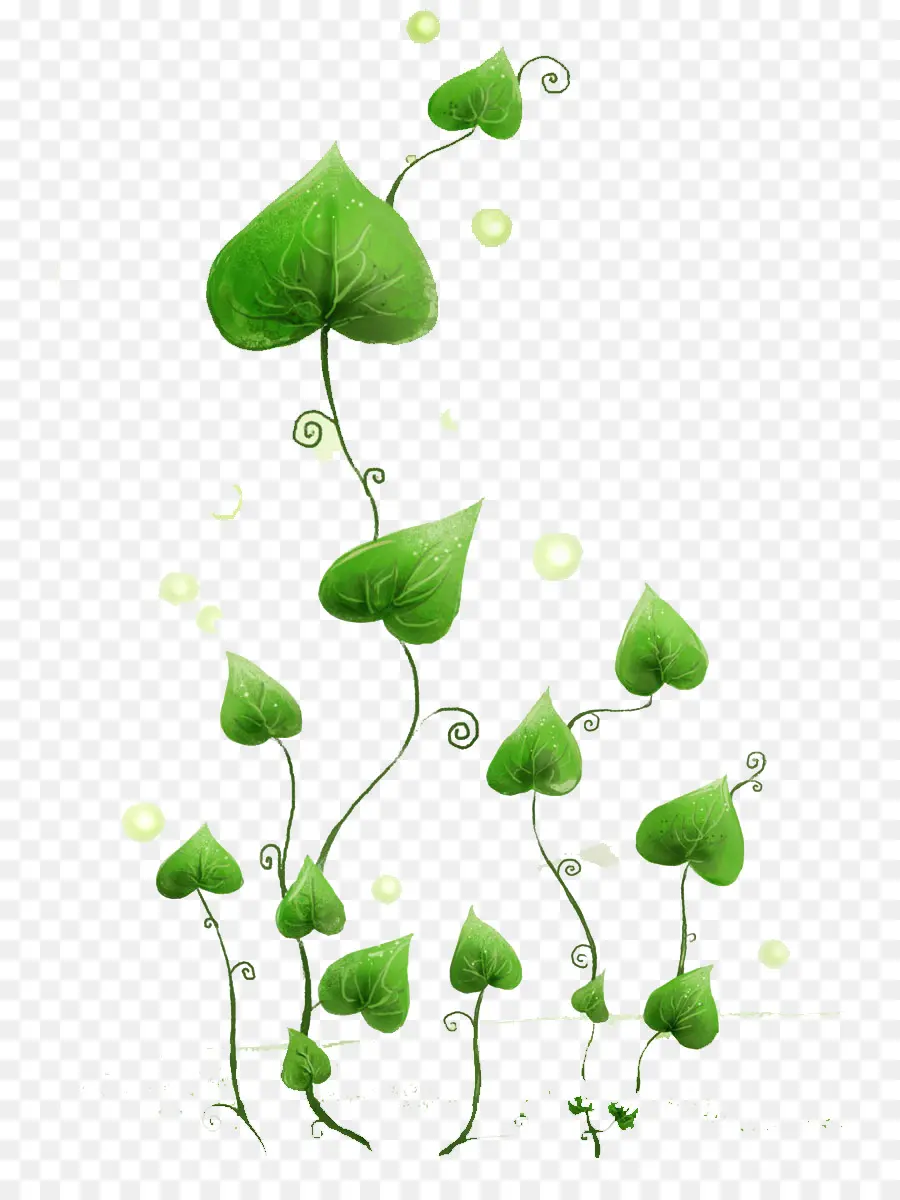 Feuilles Vertes，Plantes PNG