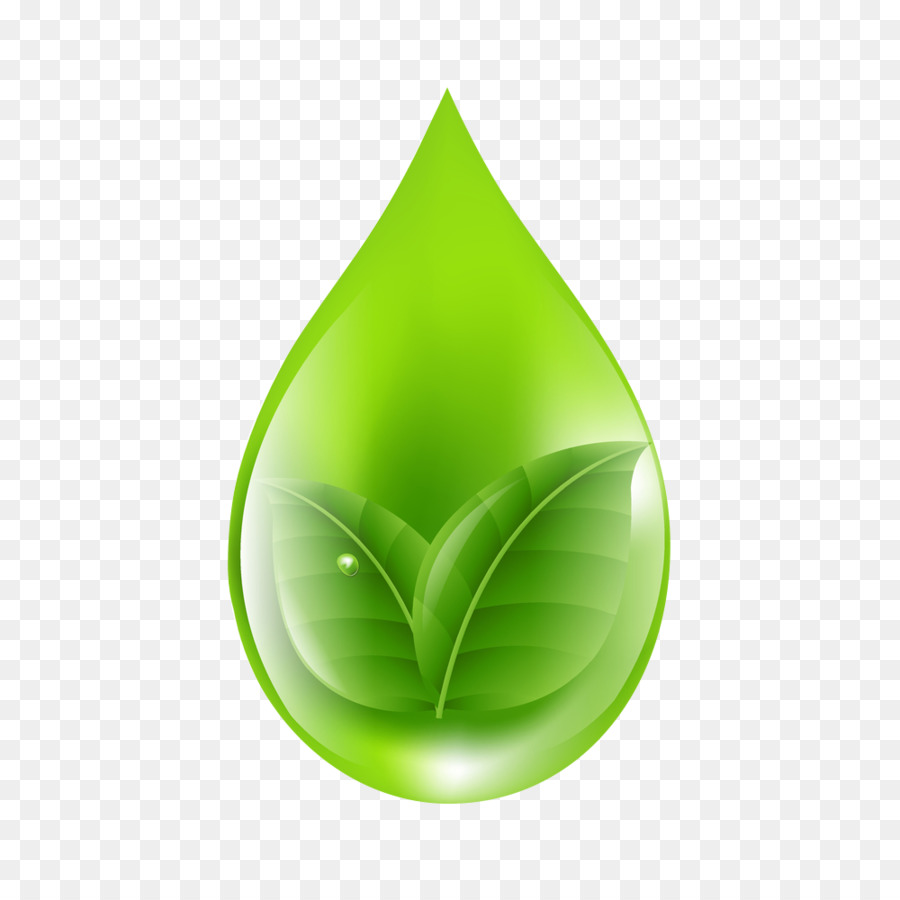 Goutte De Feuille Verte，Écologique PNG