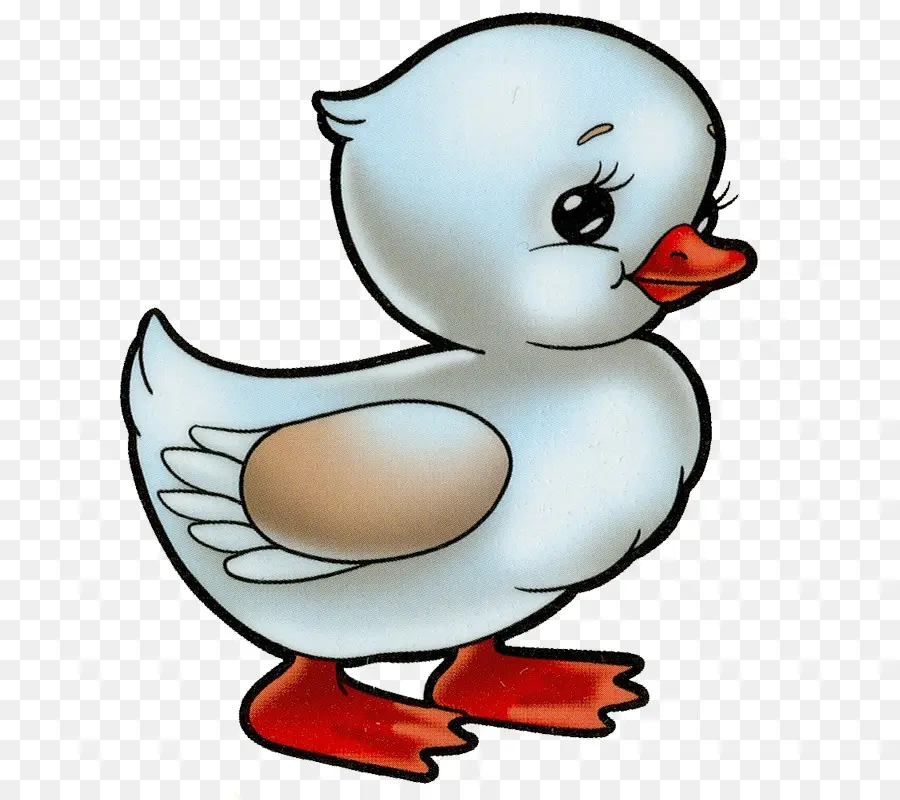 Canard，Canard Blanc PNG