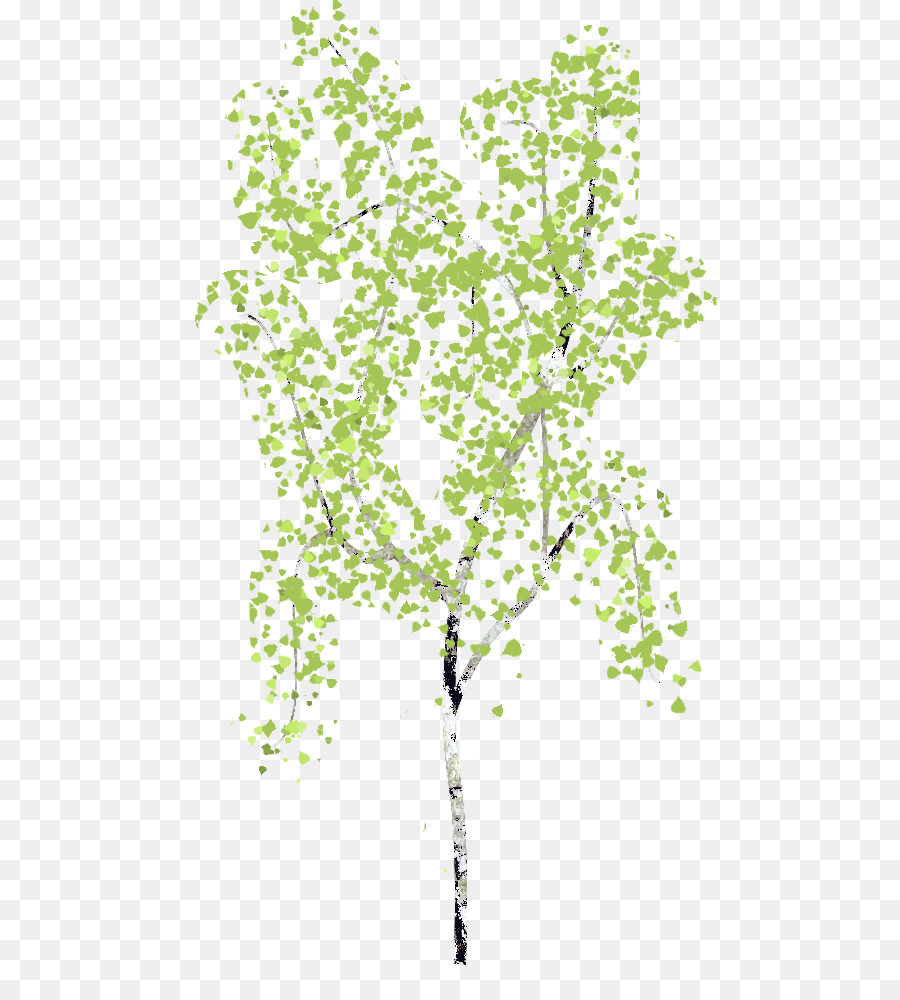 Arbre，Succursales PNG