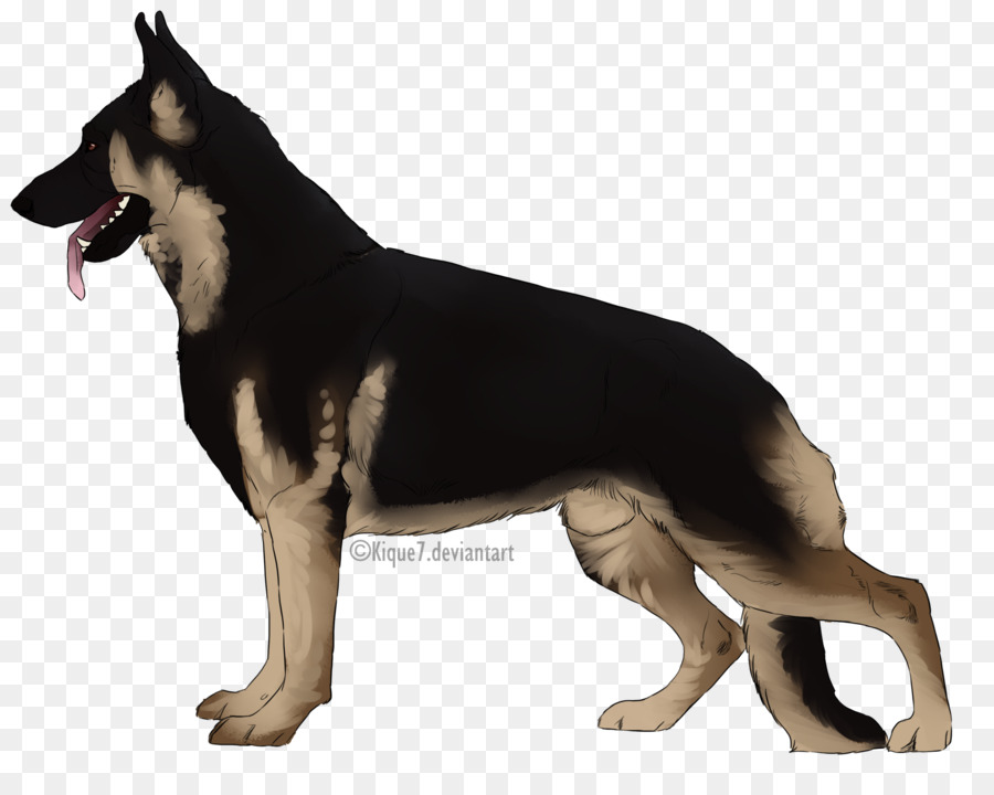 Berger Allemand，Chien PNG