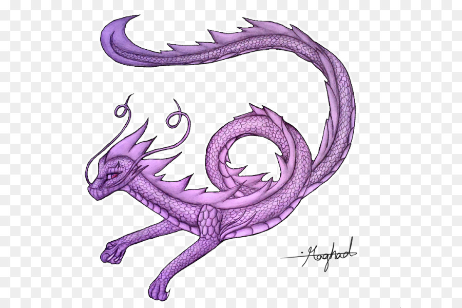 Dragon Violet，Fantaisie PNG