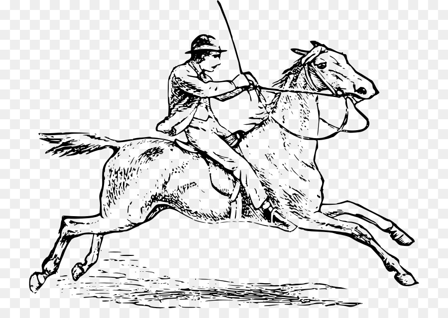 Cheval，Cavalier PNG