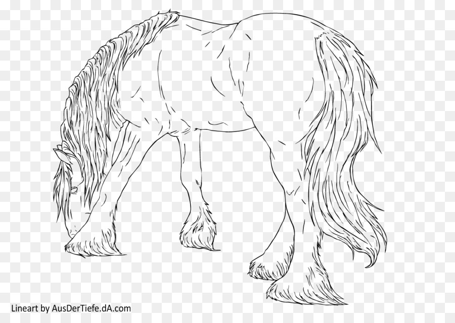 Croquis De Cheval，Animal PNG