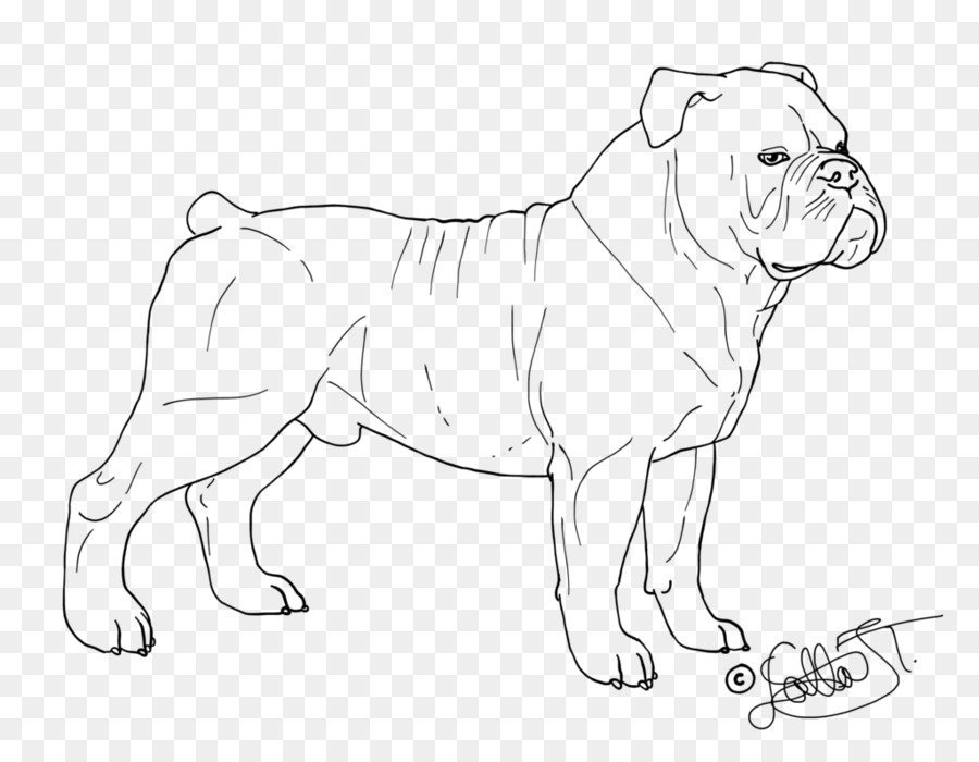 Bouledogue，Chien PNG