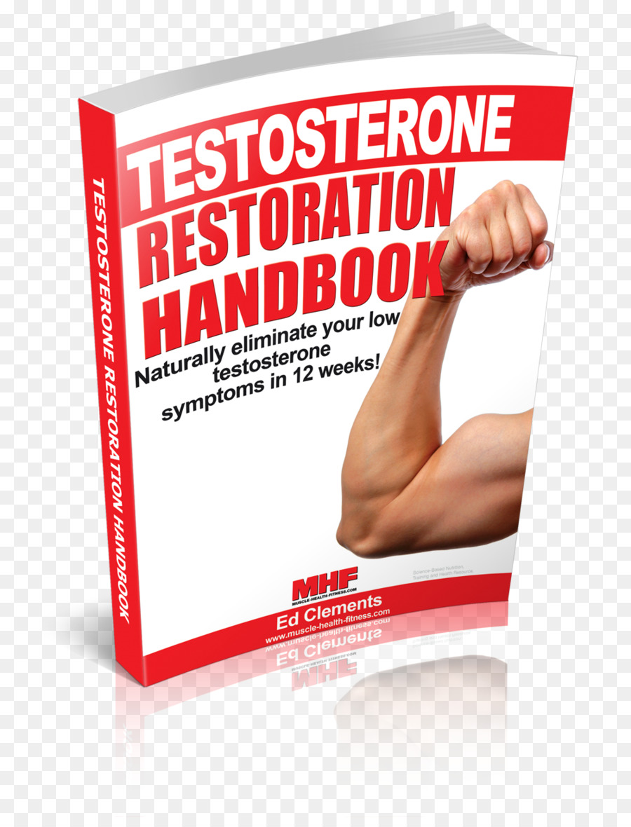 La Testostérone，L Hypogonadisme PNG