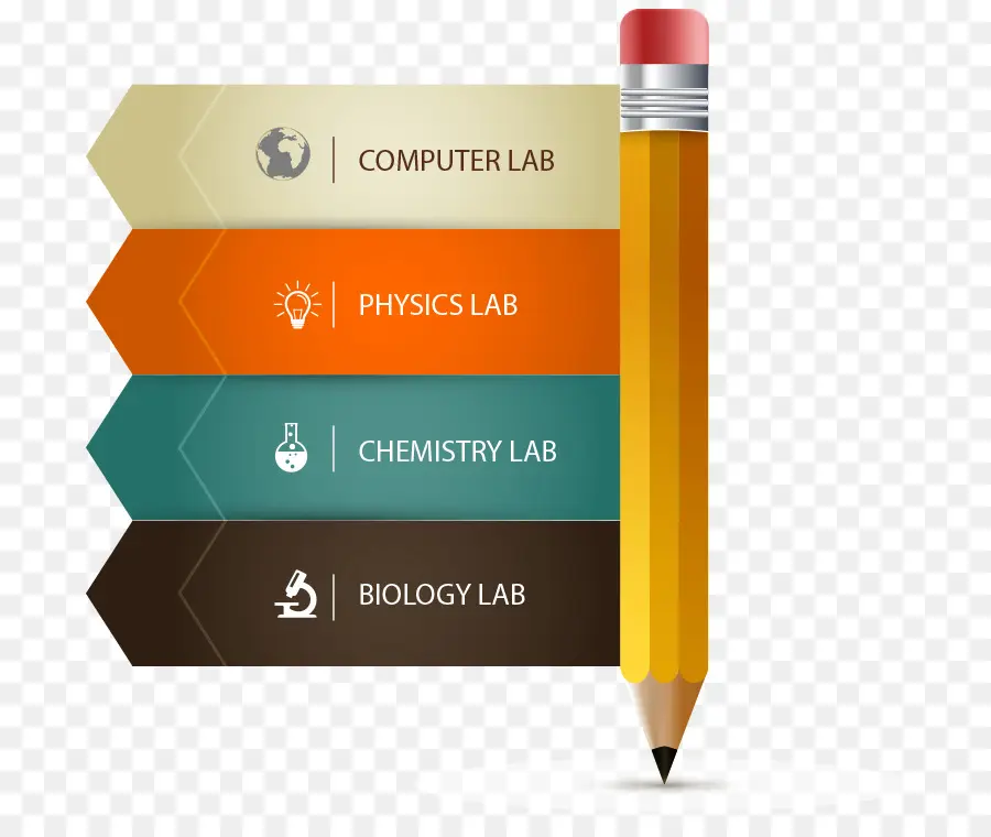 Infographie，Modèle PNG