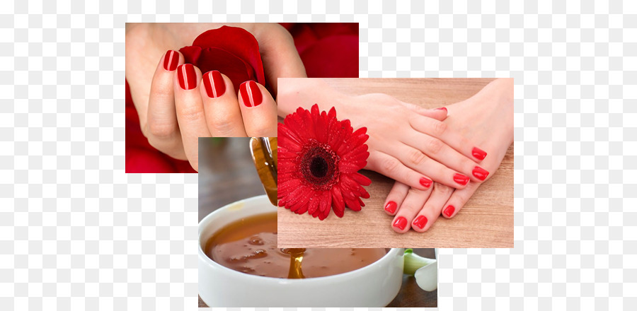 Des Ongles，Manucure PNG