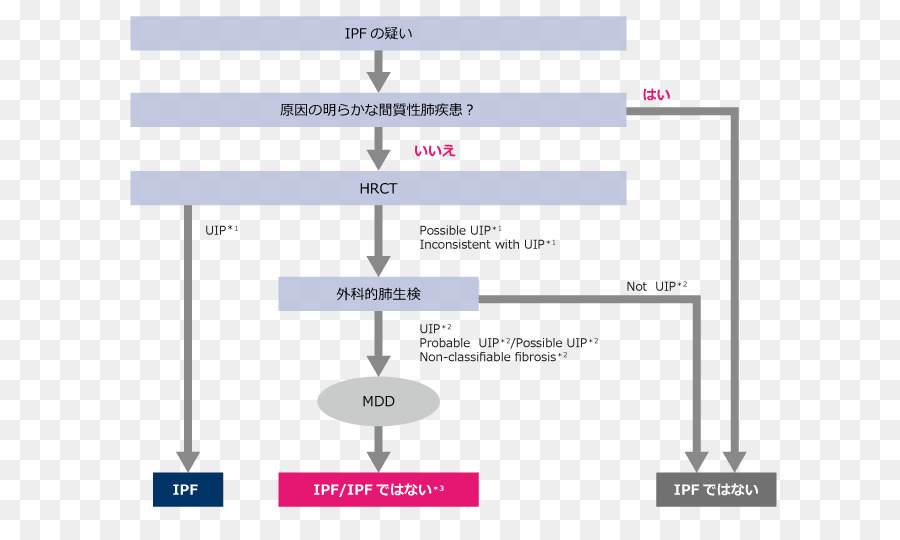 La Fibrose Pulmonaire Idiopathique，Le Diagnostic Médical PNG