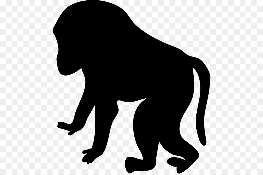 Macaque，Des Primates PNG