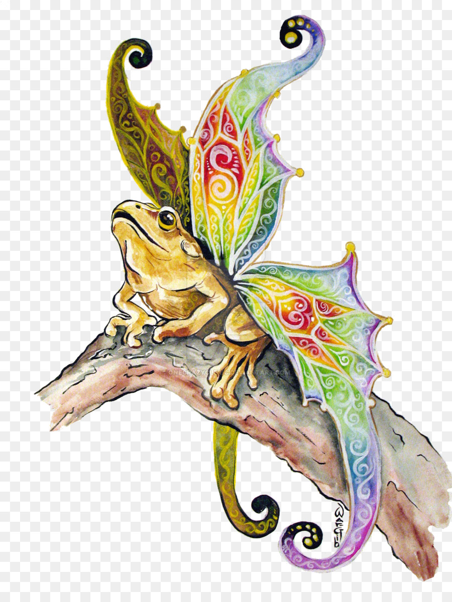 Grenouille Avec Des Ailes，Coloré PNG