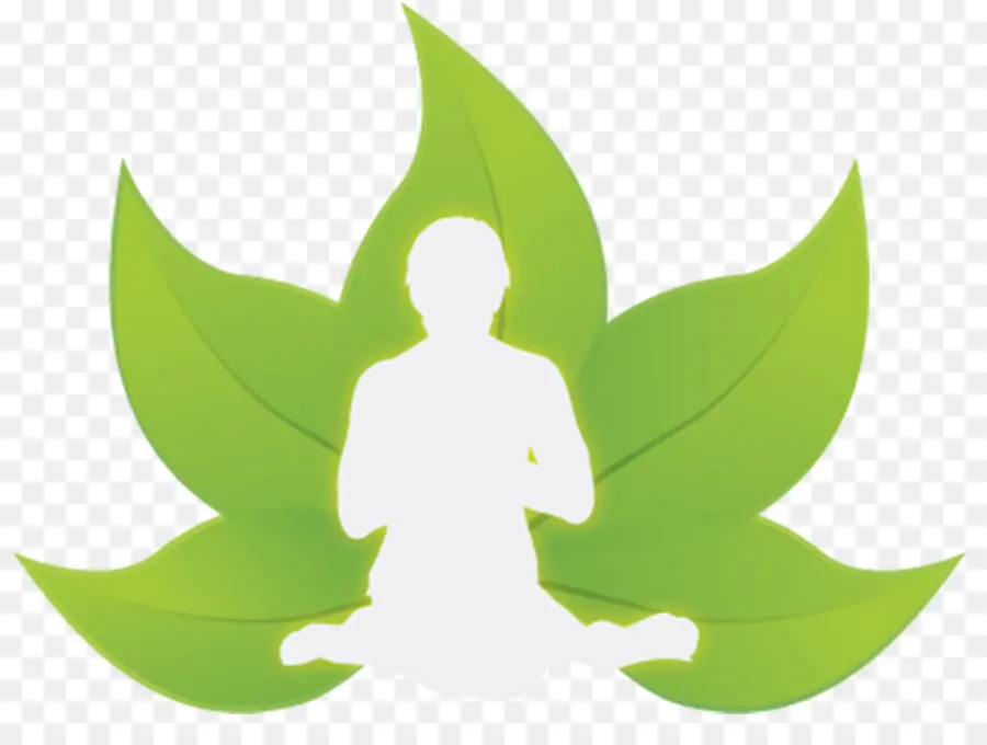 Méditation，Feuilles PNG