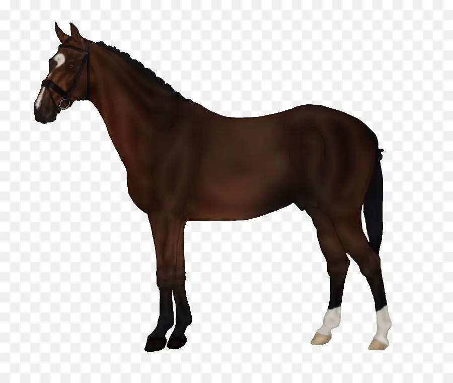 Les Sims 3 Animaux De Compagnie，Cheval PNG