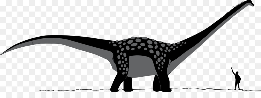 Antarctosaurus，Apatosaure PNG