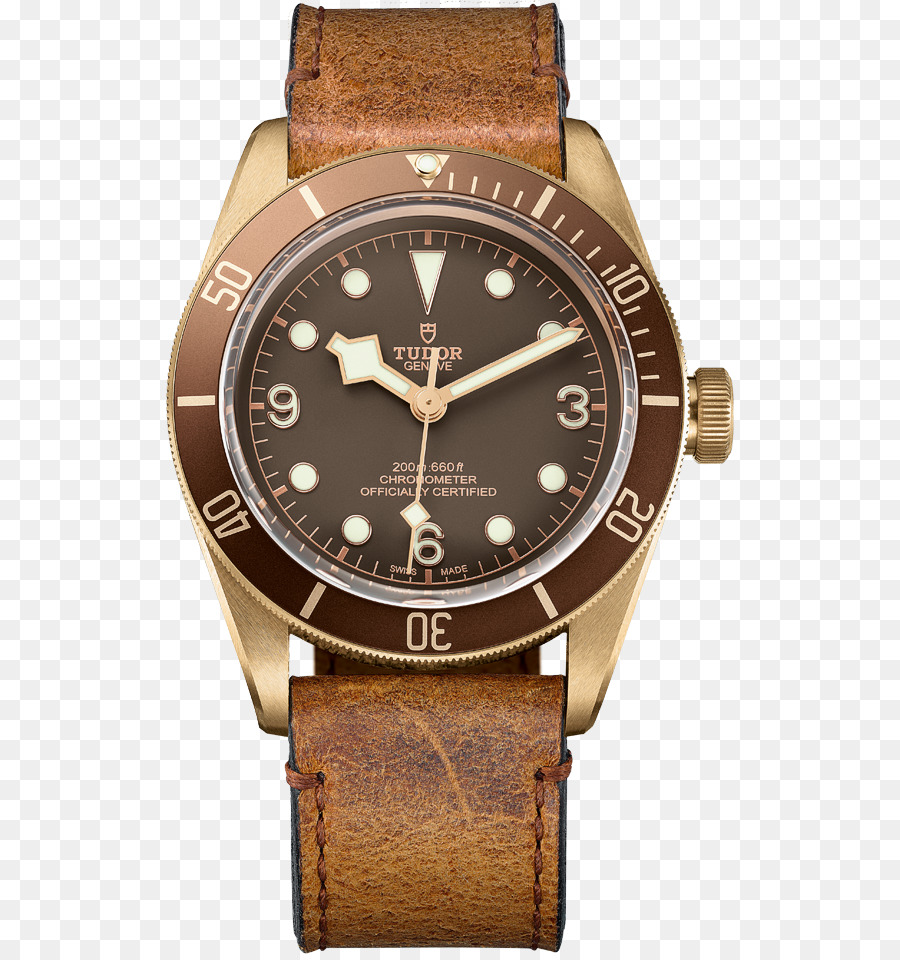 Montres Tudor，Bronze PNG