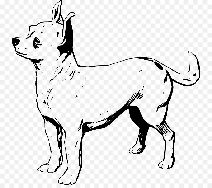 Chien，Animal De Compagnie PNG