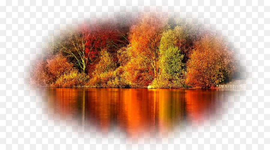 Paysage D'automne，Arbres PNG