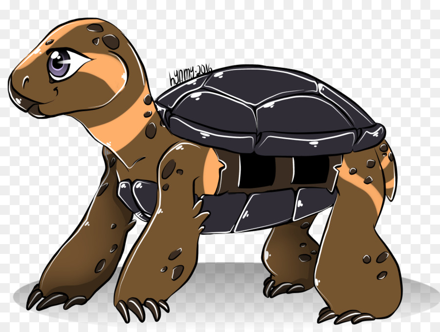 Tortue，Dessin Animé PNG