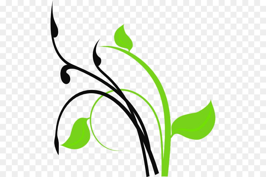 Vigne Verte，Feuilles PNG