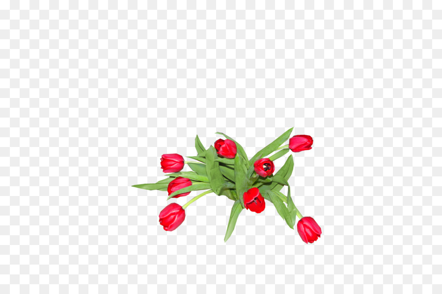 Tulipes Rouges，Tiges Vertes PNG