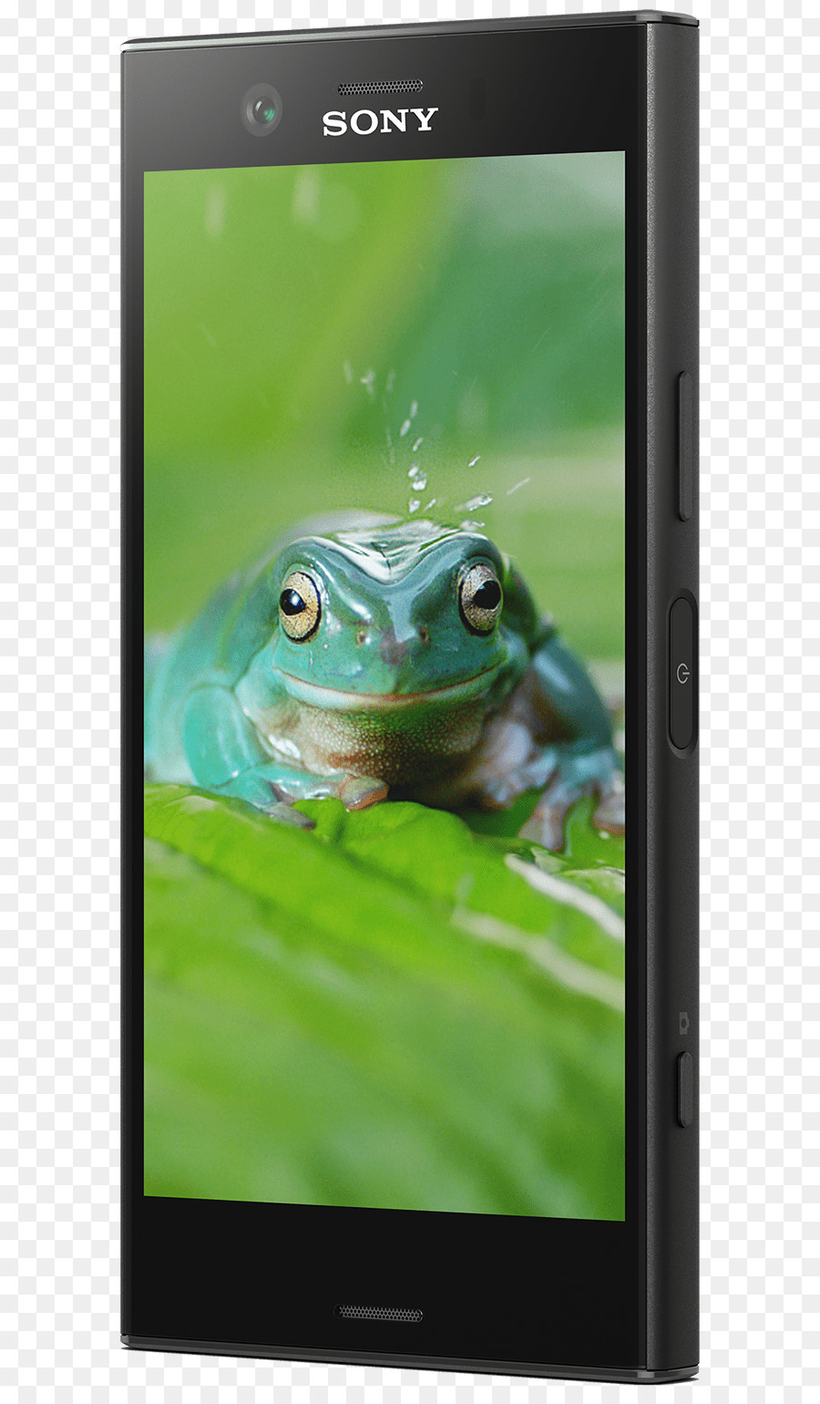 Sony Xperia Xz1，Sony Xperia X Compact PNG