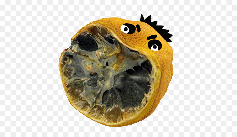 La Photographie De Stock，Citron PNG