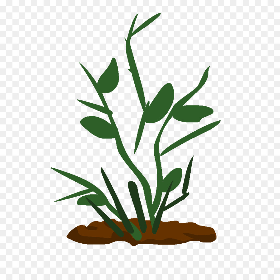 Dessin Technique Tige De La Plante Png Dessin Technique Tige De La Plante Transparentes Png Gratuit