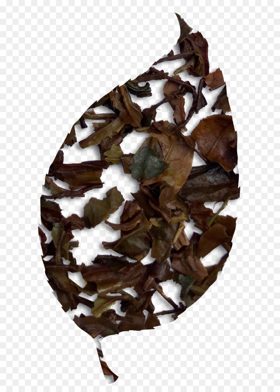 Feuille，Camouflage PNG
