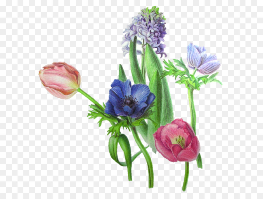 Fleurs Colorées，Tulipe PNG