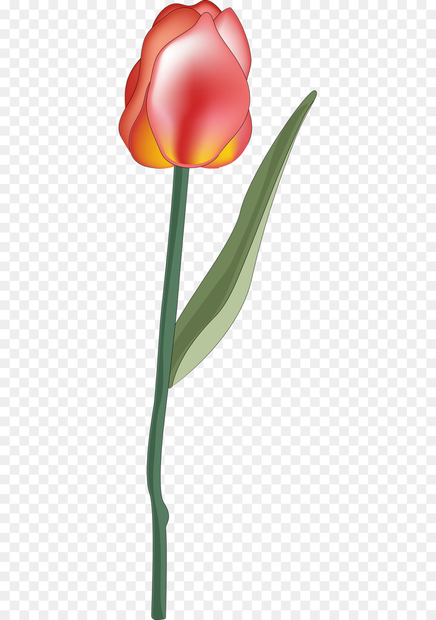 Fleur，Rouge PNG