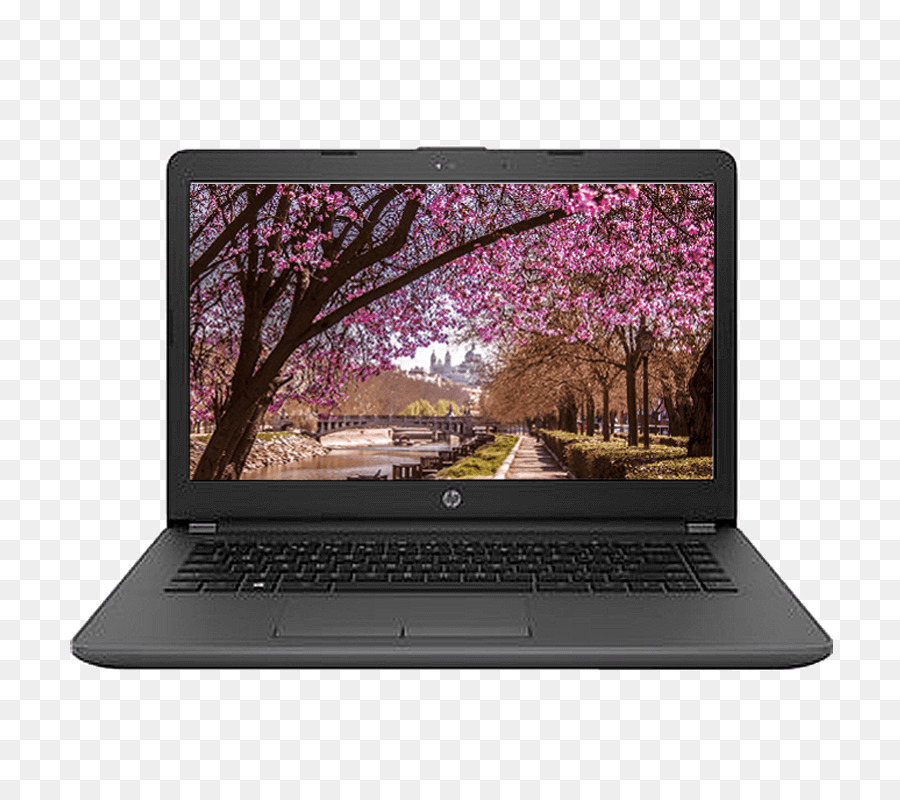 Netbook，Ordinateur Portable PNG