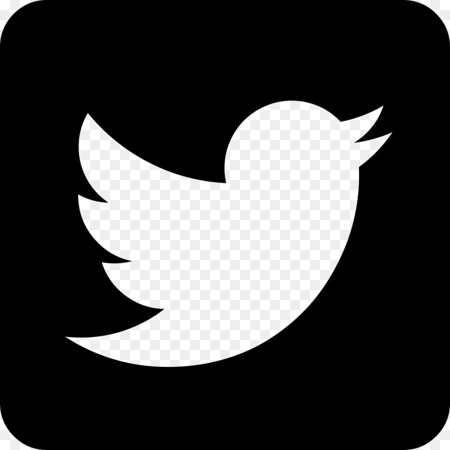 Logo Twitter，Oiseau PNG