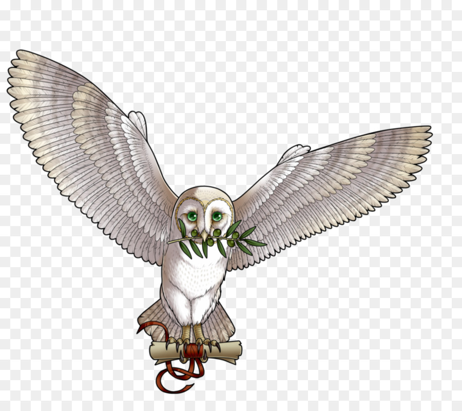 Hibou，Oiseau PNG