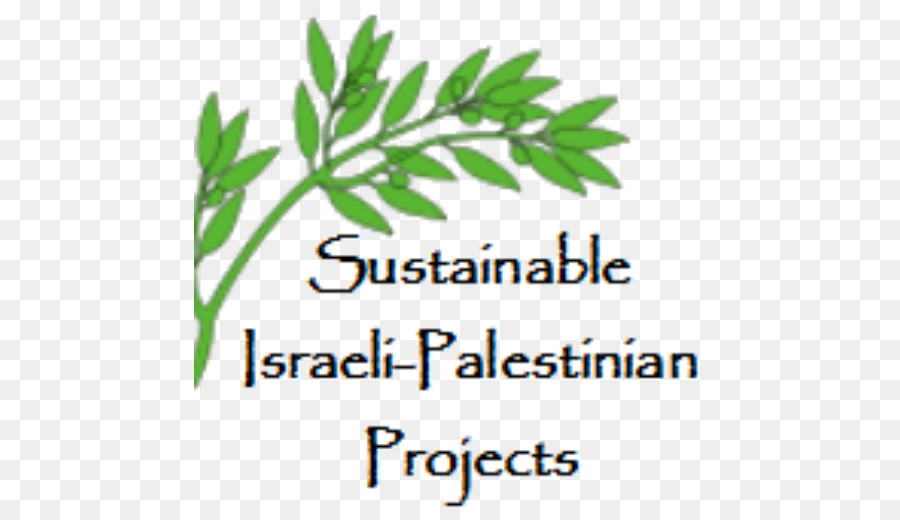 Durable Israélo Palestinien Projets，Organisation PNG