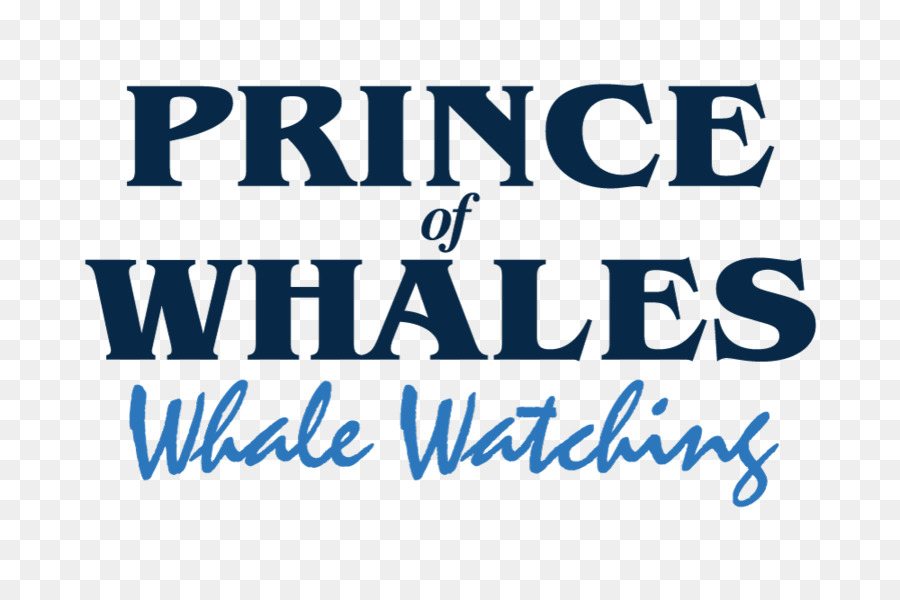 Le Prince Des Baleines Observation Des Baleines，Cétacés PNG