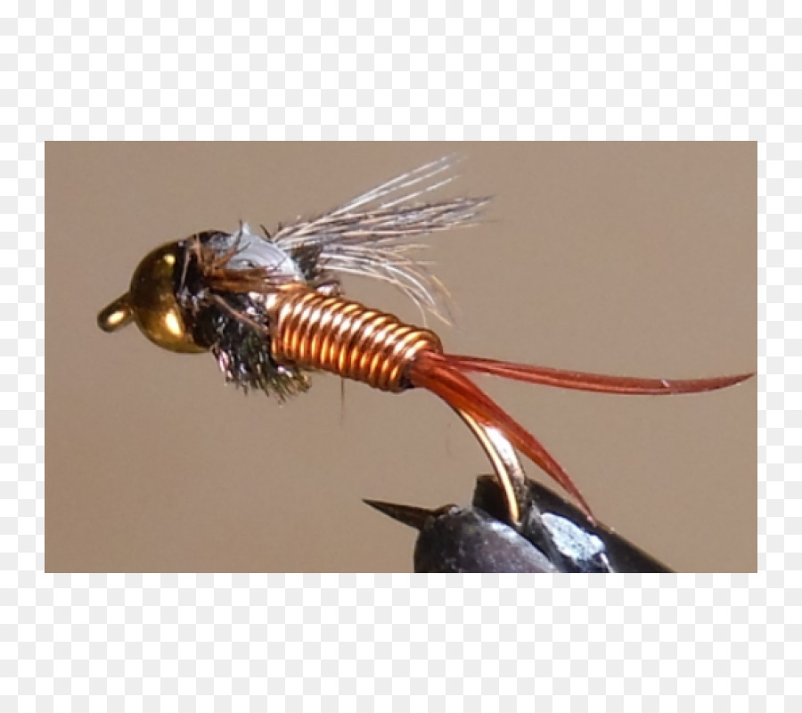 Les Insectes，Mouche Artificielle PNG