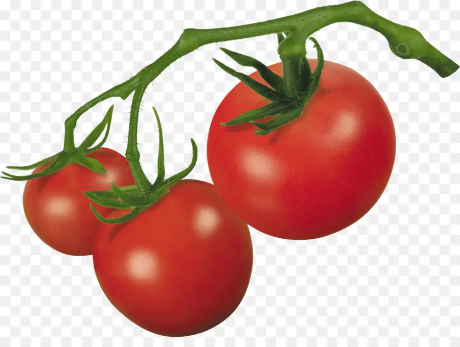 Tomate Cerise，Plant De Tomate PNG