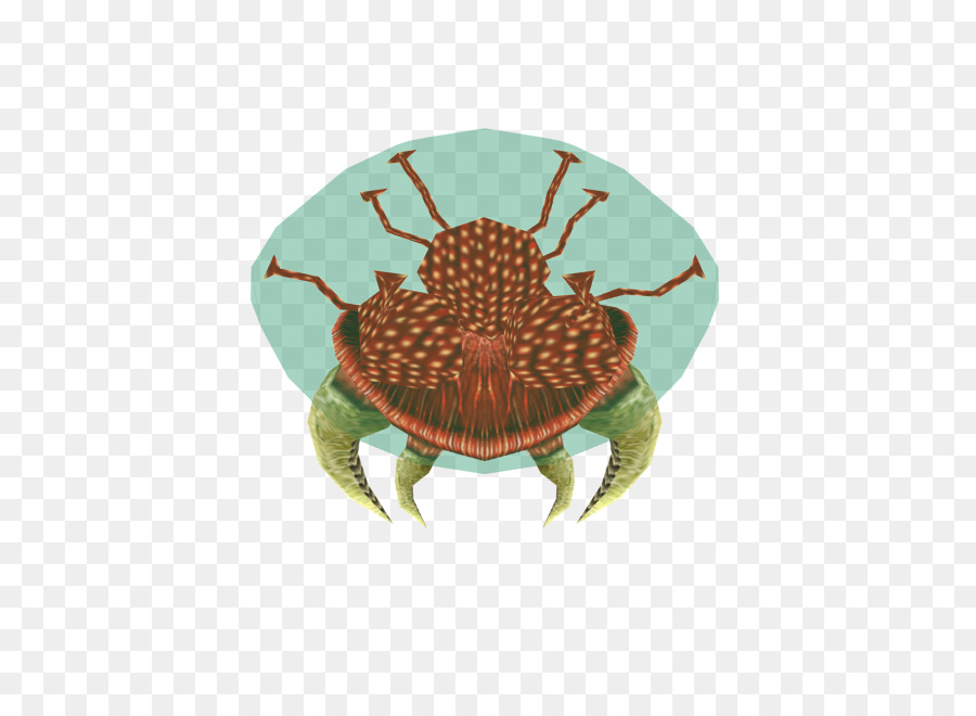 Le Crabe Dormeur，Dormeur PNG