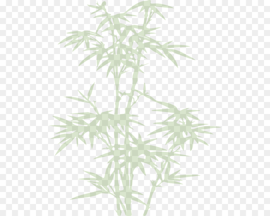 Plante Verte，Feuilles PNG