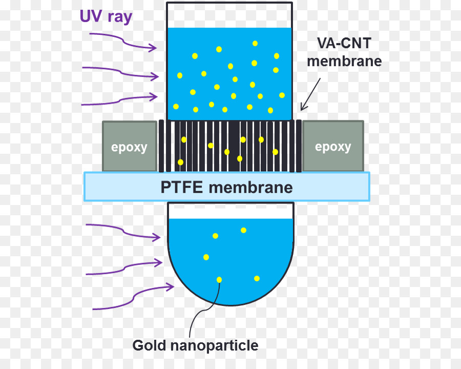Nanotube De Carbone，Dépôt Chimique En Phase Vapeur PNG