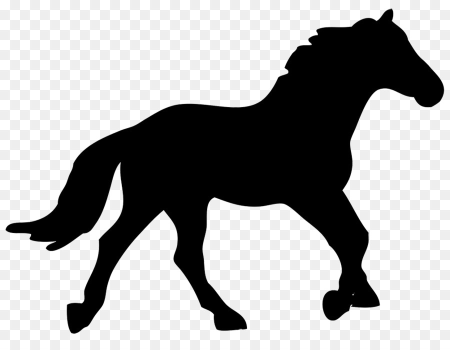 American Quarter Horse，Silhouette PNG